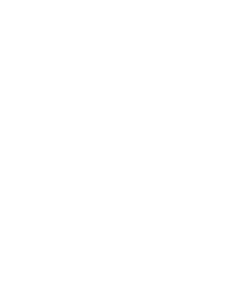 document icon